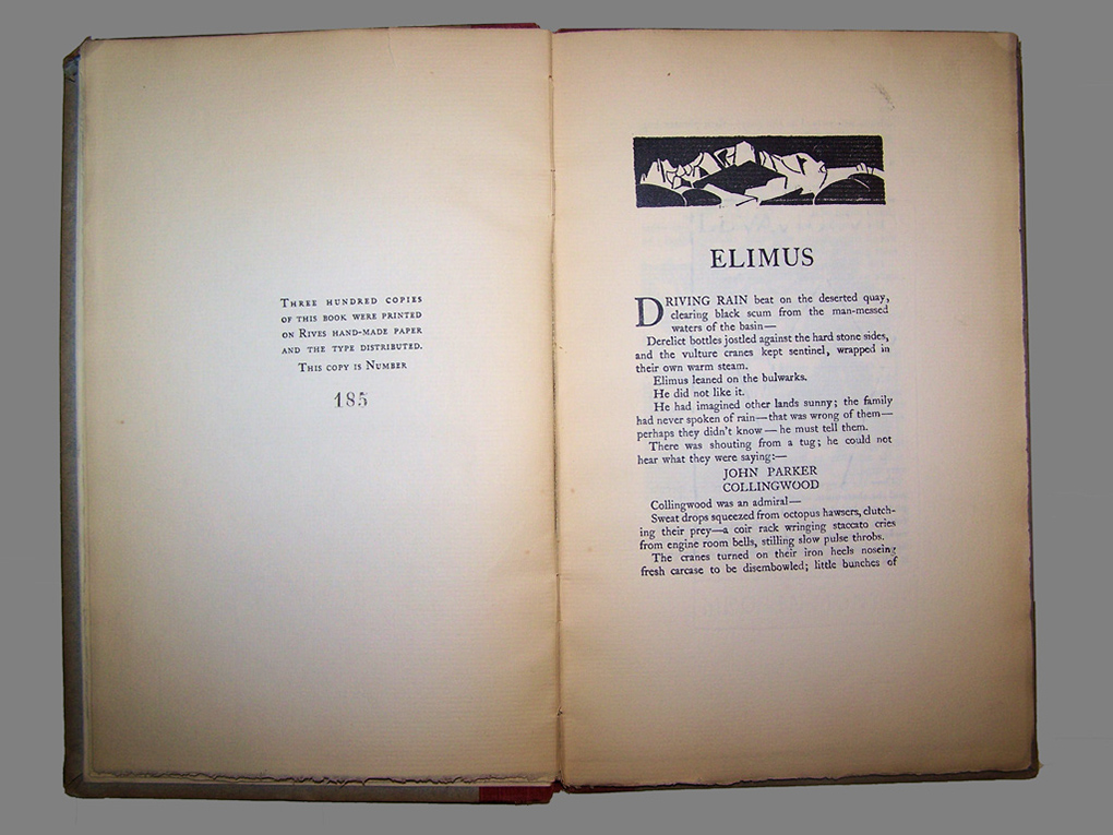 Elimus_Pages_8_and_9_Limitation_Info
